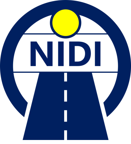 State enterprise «National Institute for Development Infrastructure»